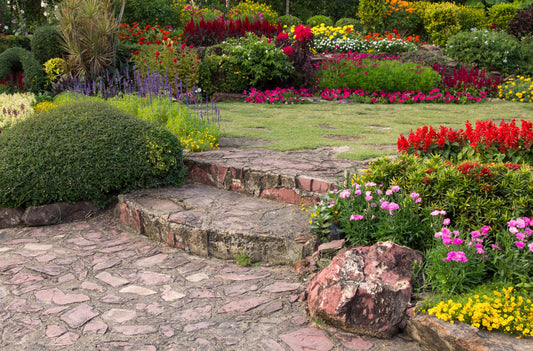 Plus Tuinonderhoud
